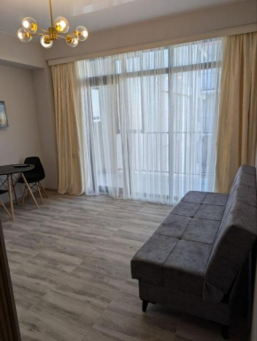 Apartment in the center of Zugdidi